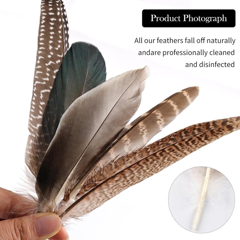 Daieeparty 15pcs Pheasant Feathers 5-8inch Natural Craft Feather for Home DIY Dreamcatcher Hat Costumes Decoration(5 Styles) - Image 3